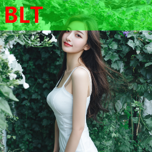 糖心vlog免费版观看